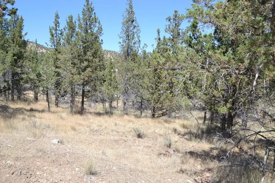NW Irvine, Prineville, OR 97754 - Image #3