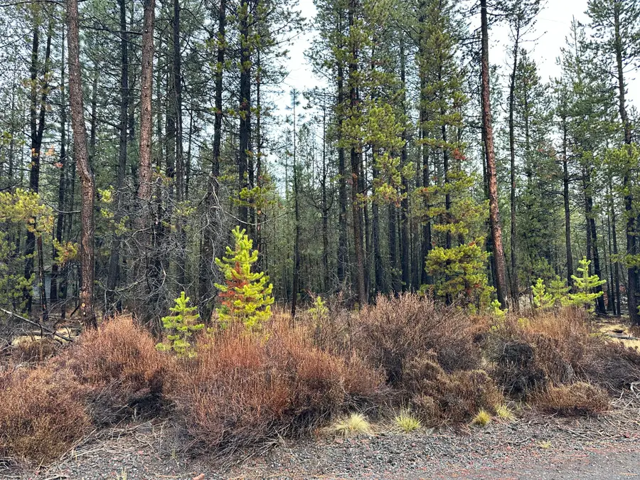 16842 Elsinore, Bend, OR 97707 - Image #3