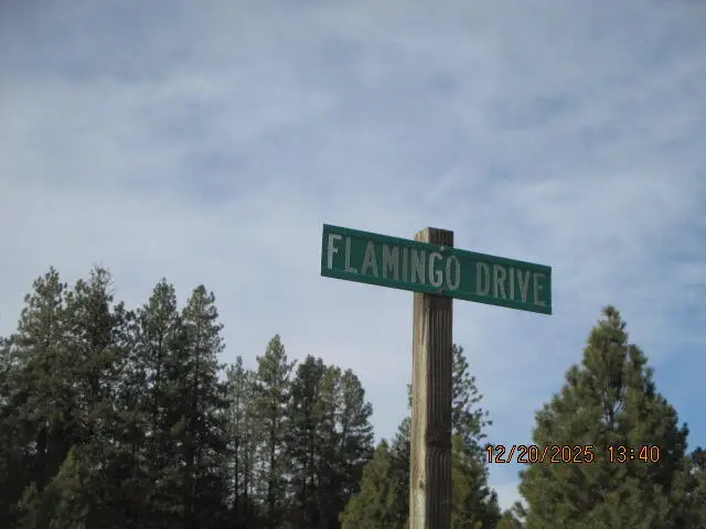 0 Flamingo, Bonanza, OR 97623 - Image #3