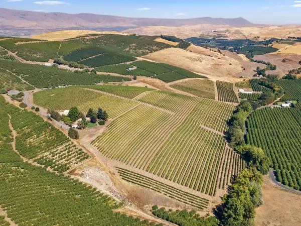 2018 Steele, The Dalles, OR 97058