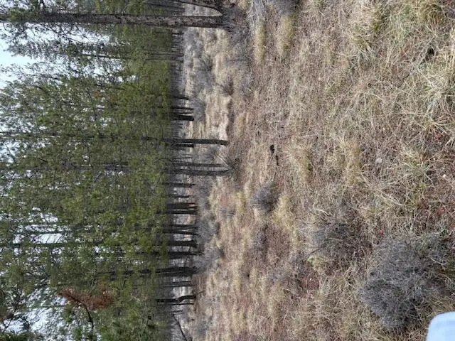 Sun Forest, La Pine, OR 97739 - Image #3