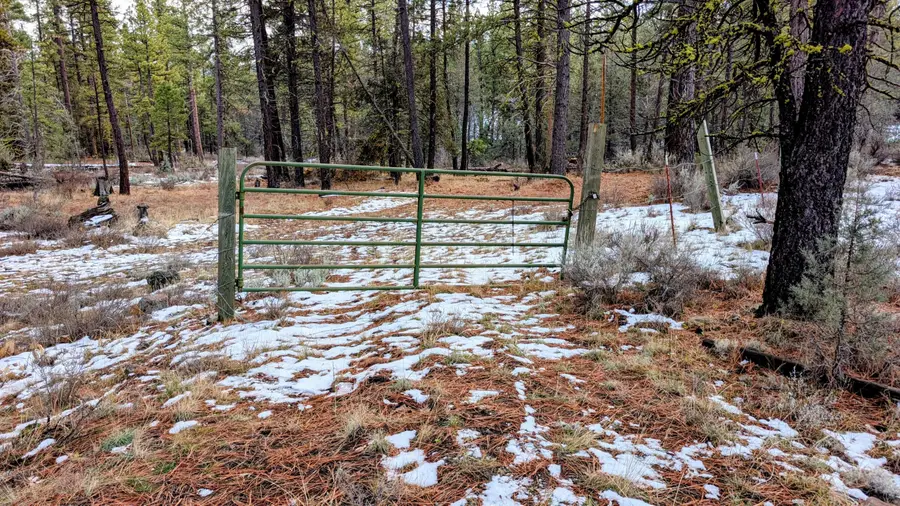 19900 Patten Meadow, Lakeview, OR 97630 - Image #2