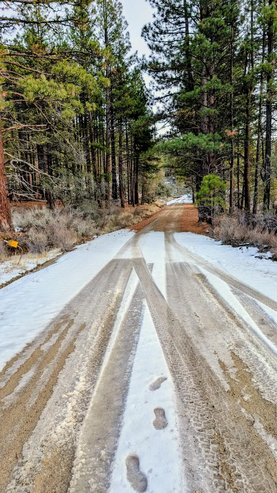 19900 Patten Meadow, Lakeview, OR 97630 - Image #3