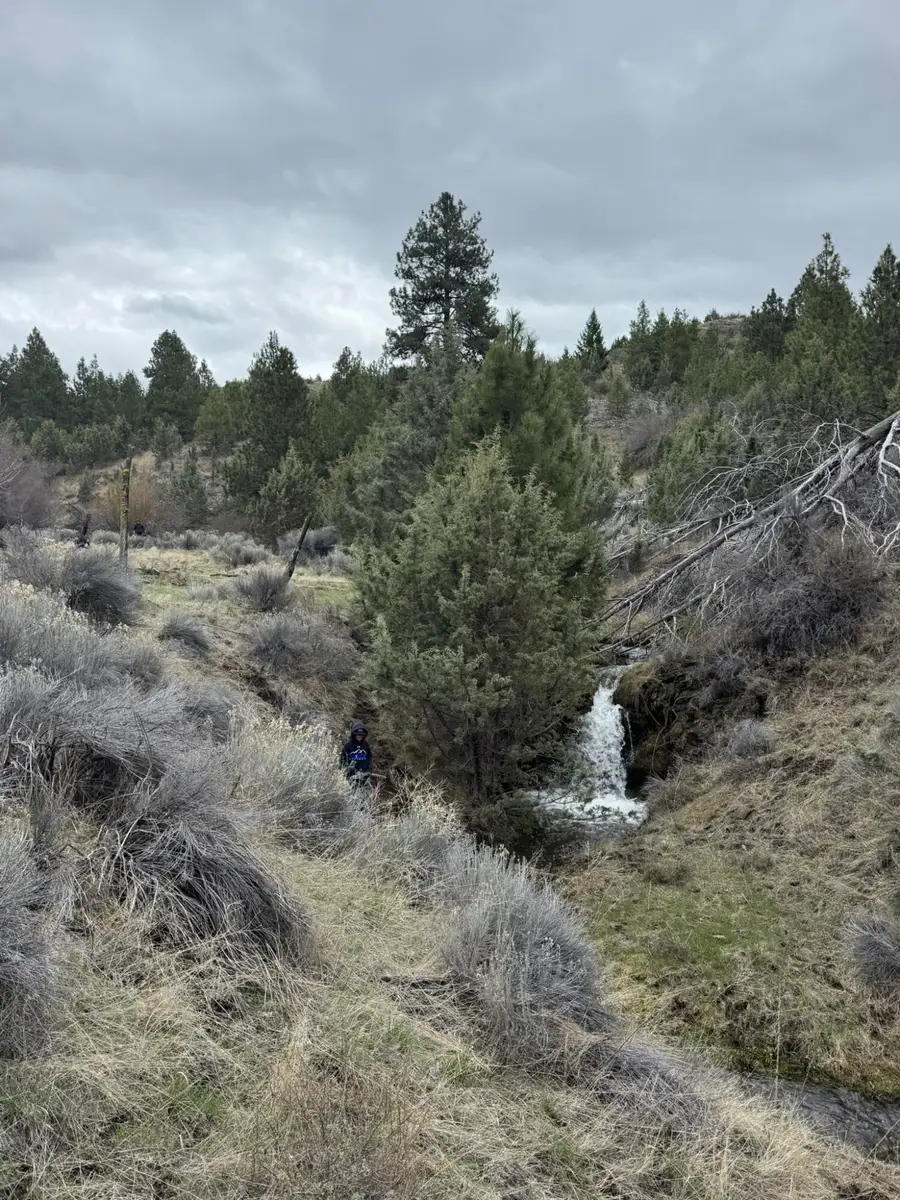 0 Grizzly, Madras, OR 97741 - Image #2