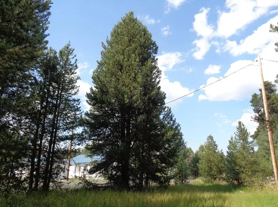 Main Street, Crescent, OR 97733 - #2