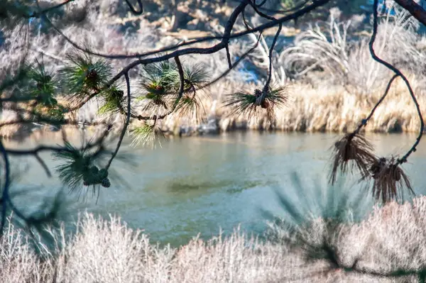 2201 NW Lakeside, Bend, OR 97703