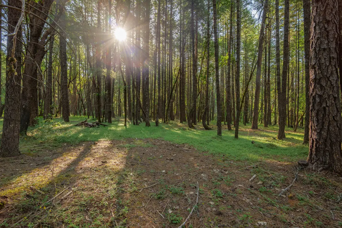 355 Firview, Wilderville, OR 97543 - Image #1