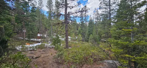 Leopard Lane #3711-015A0-04300, Bonanza, OR 97623