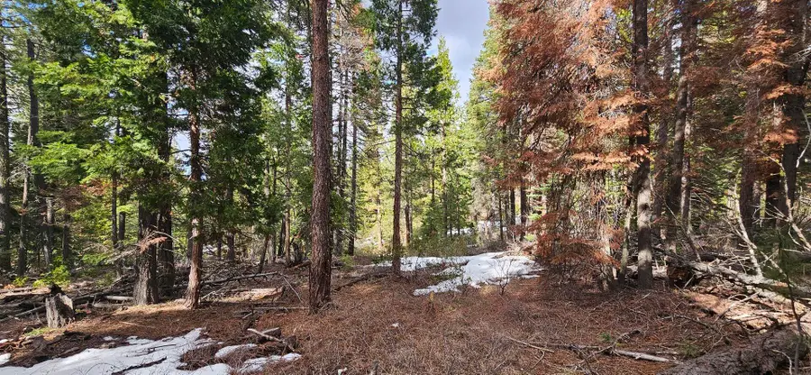 Leopard Lane #3711-015A0-04300, Bonanza, OR 97623 - #2