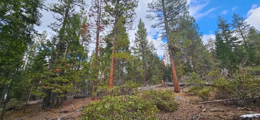 Leopard Lane #3711-015A0-04300, Bonanza, OR 97623 - #3