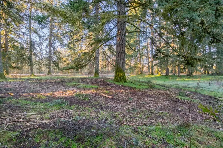 11997 Towers Road Se, Stayton, OR 97383 - #3