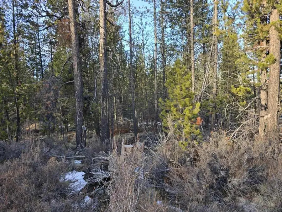 16852 Elsinore Rd Road #45, Bend, OR 97707 - #3