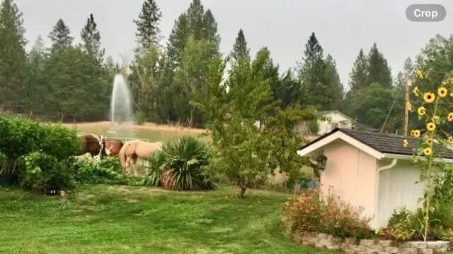 3990 Jerome Prairie Road, Grants Pass, OR 97527 - #3