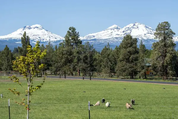 69130 Hurtley Ranch Road, Sisters, OR 97759