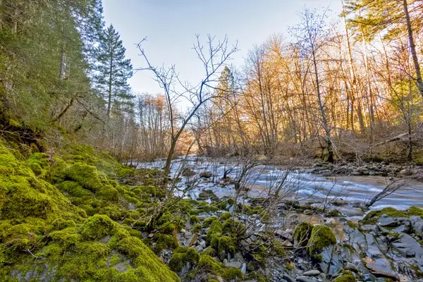 1800 Arrowhead Drive, O'Brien, OR 97534