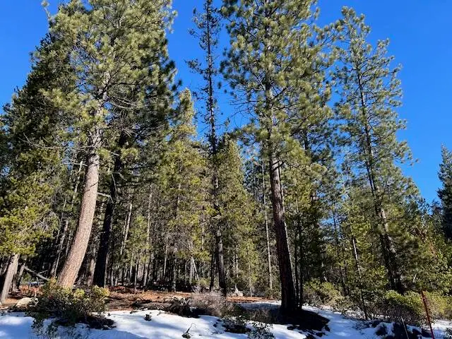 Clear Springs Way #16, Crescent Lake, OR 97733 - #2