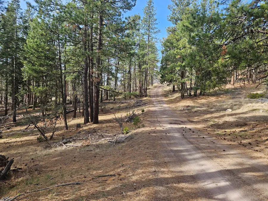 0 Seal Lane #8, Bonanza, OR 97623 - Image #2