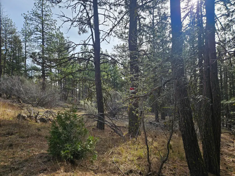 0 Seal Lane #8, Bonanza, OR 97623 - Image #3