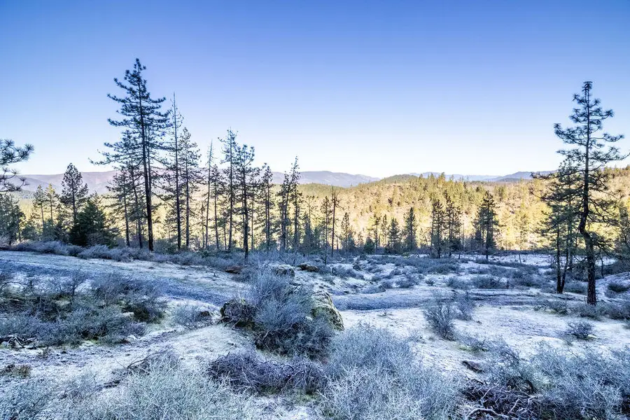 0 Waldo Road #403, Obrien, OR 97534 - Image #2