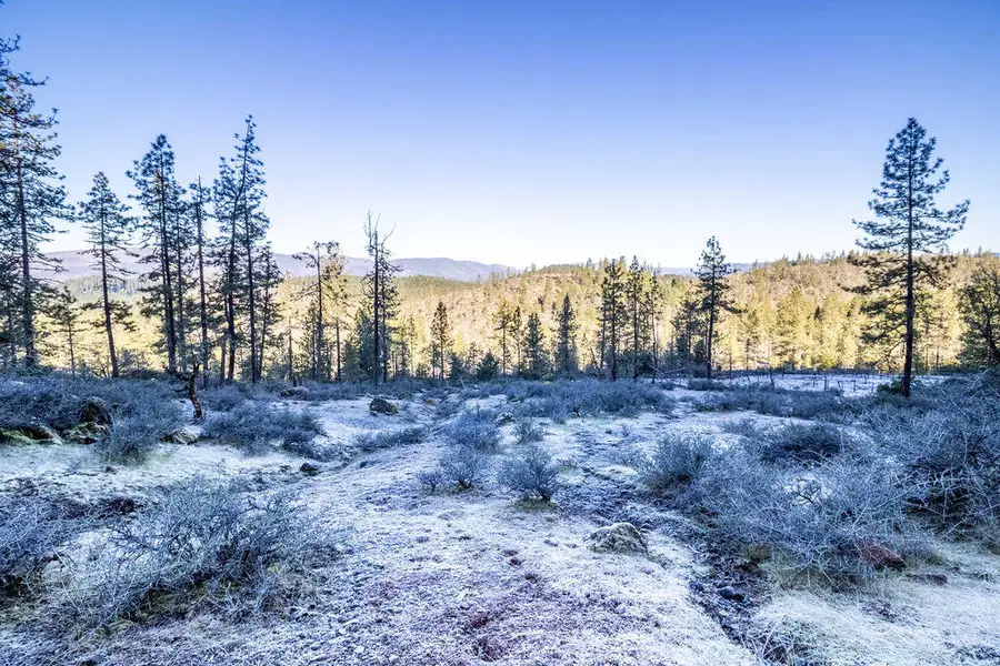 0 Waldo Road #403, Obrien, OR 97534 - Image #3