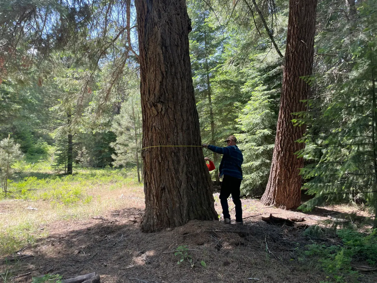 Franks Creek Road, Dayville, OR 97825 - #1