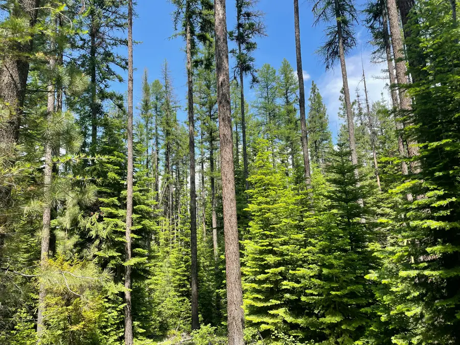 Franks Creek Road, Dayville, OR 97825 - #2