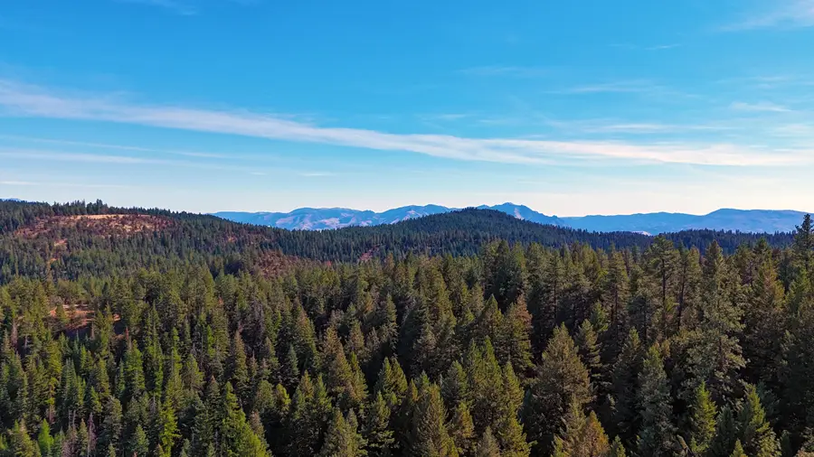 Franks Creek Road, Dayville, OR 97825 - #3