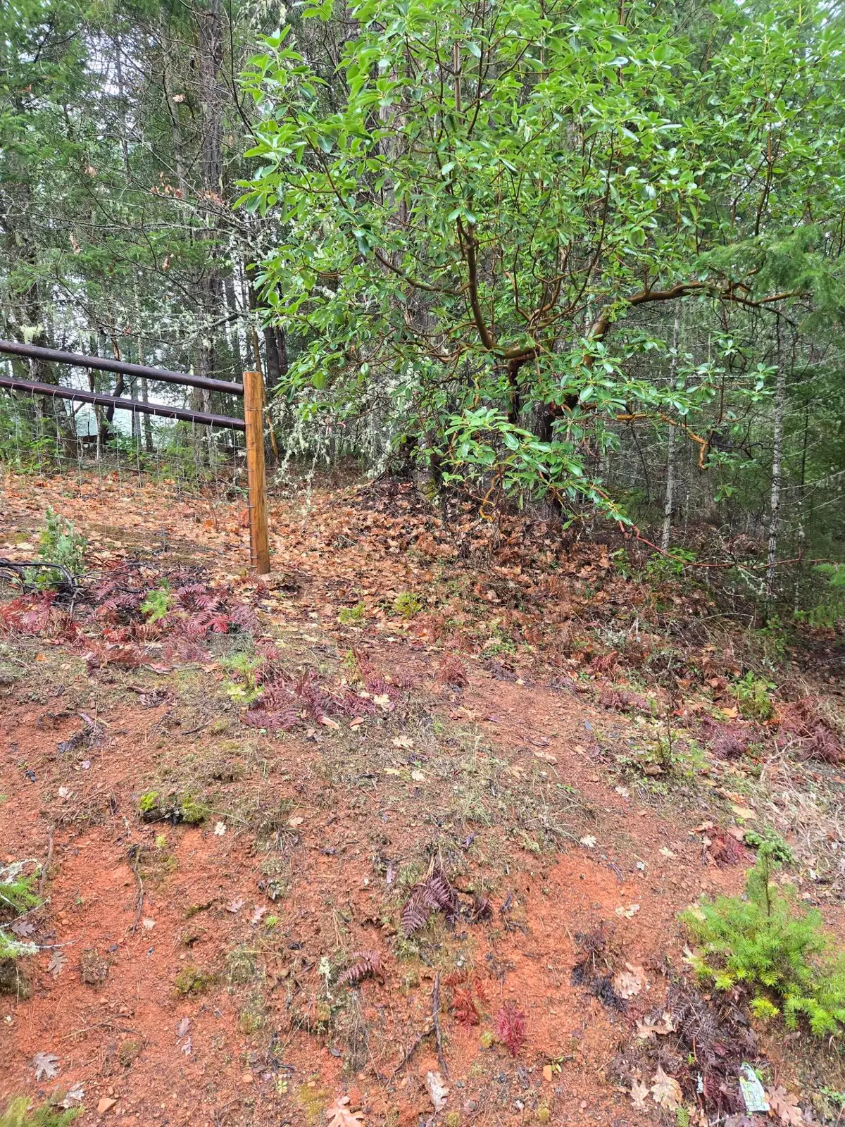 0 Mcmullen Creek Road #TL205, Selma, OR 97538 - #1