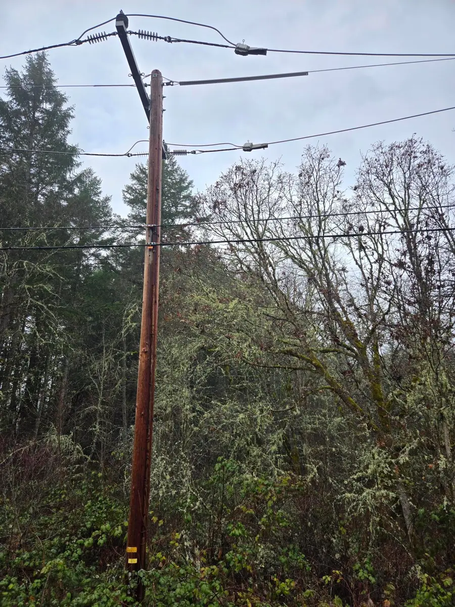 0 Mcmullen Creek Road #TL205, Selma, OR 97538 - #2