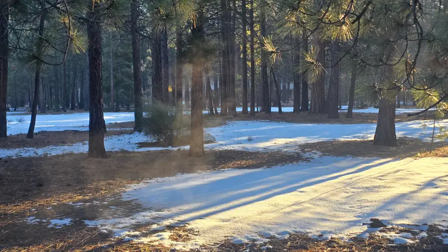 14790 Lichen Way, La Pine, OR 97739 - Image #2