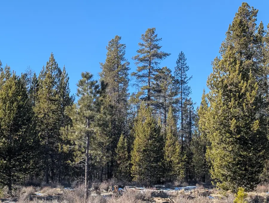 Tl 211107b000108, Tl 211106c00, Bend, OR 97707 - #3