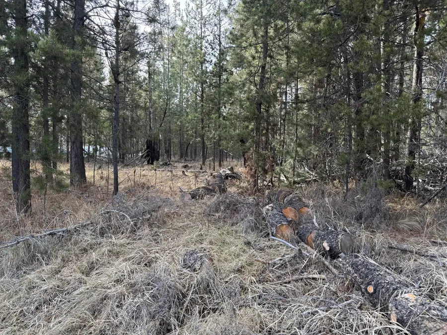 Willow Street, La Pine, OR 97739 - Image #2