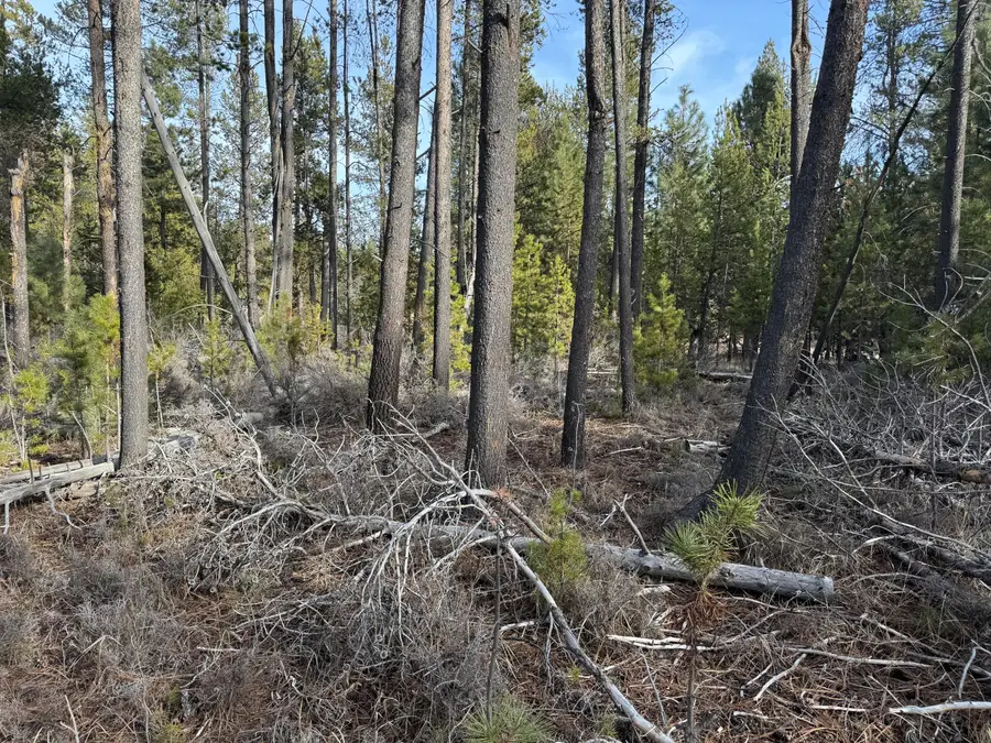 Willow Street, La Pine, OR 97739 - Image #3