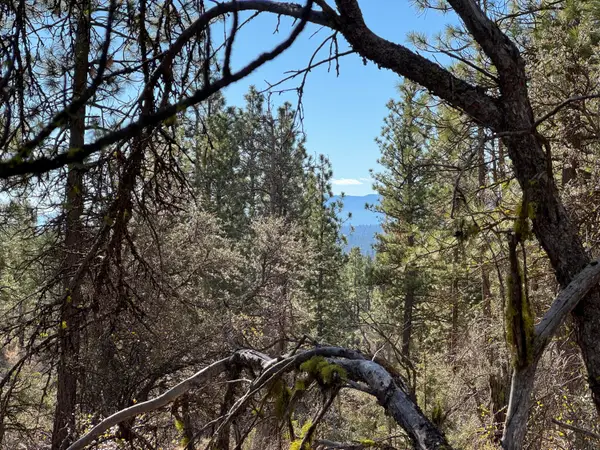 0 Chamois Circle #1, Bonanza, OR 97623