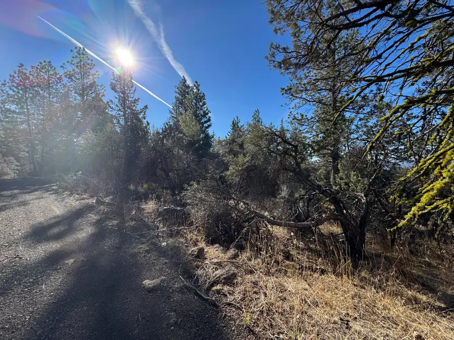 0 Chamois Circle #1, Bonanza, OR 97623 - Image #3