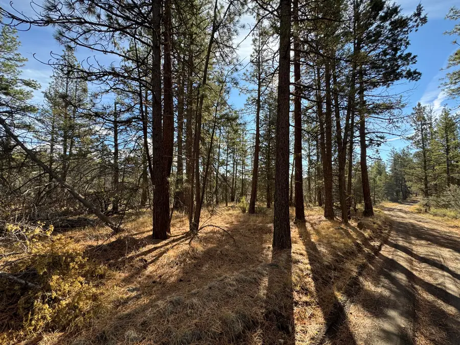 0 Golden Eagle Drive #23 & 24, Bonanza, OR 97623 - Image #2