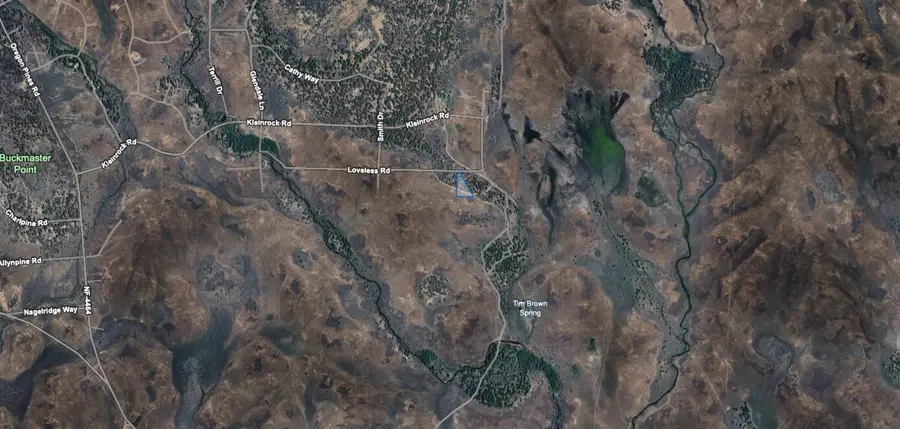 0 Loveless Road #9, Beatty, OR 97621 - Image #3