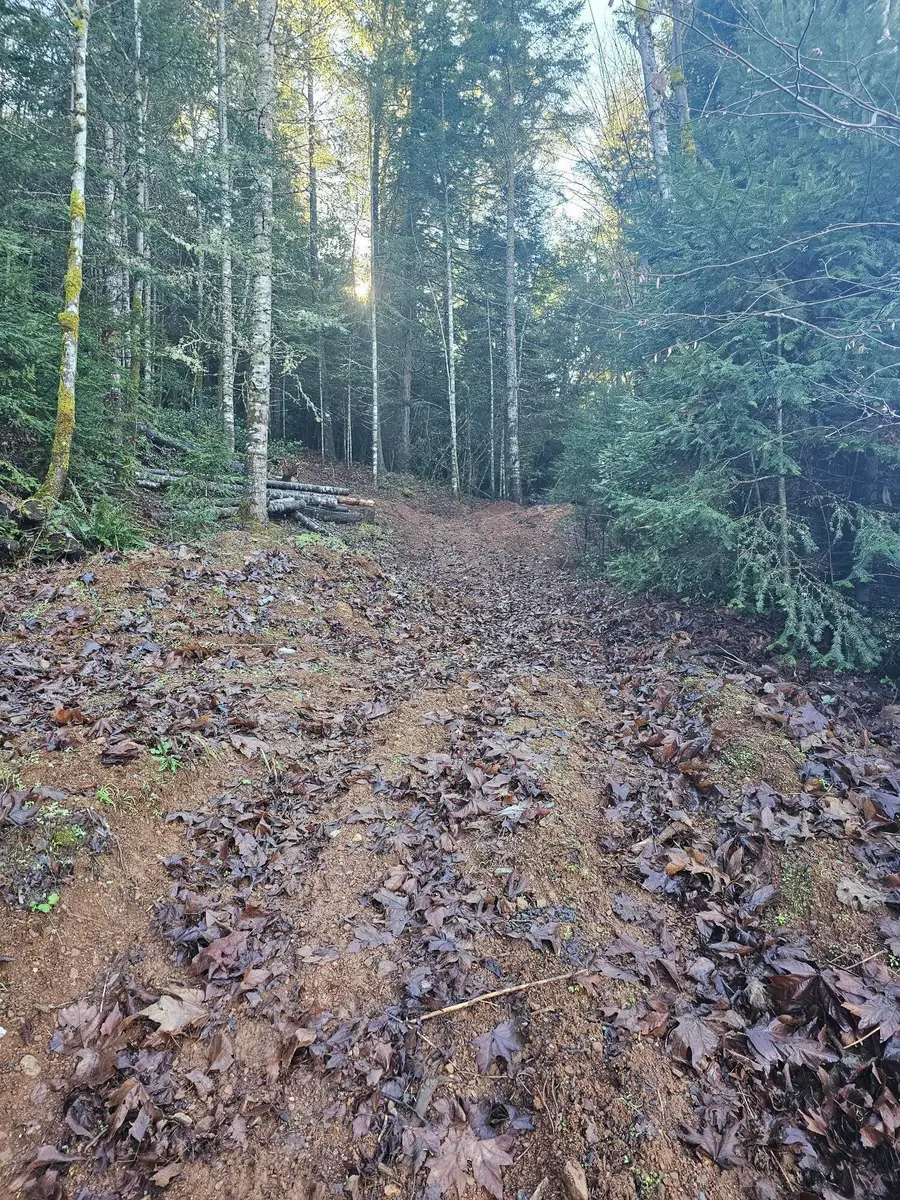 342 5th Street, Glendale, OR 97442 - #2