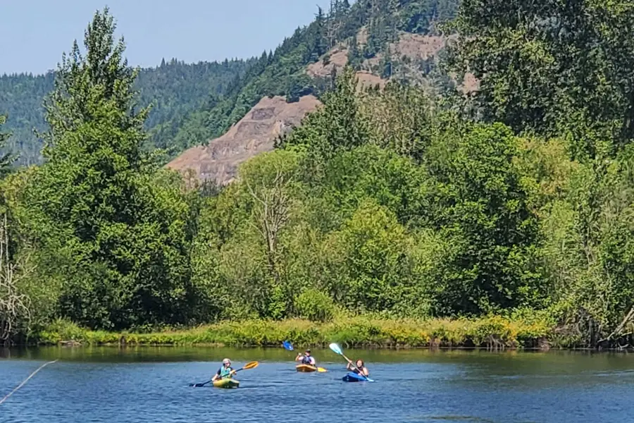 Delight Valley School Road, Cottage Grove, OR 97424 - #2