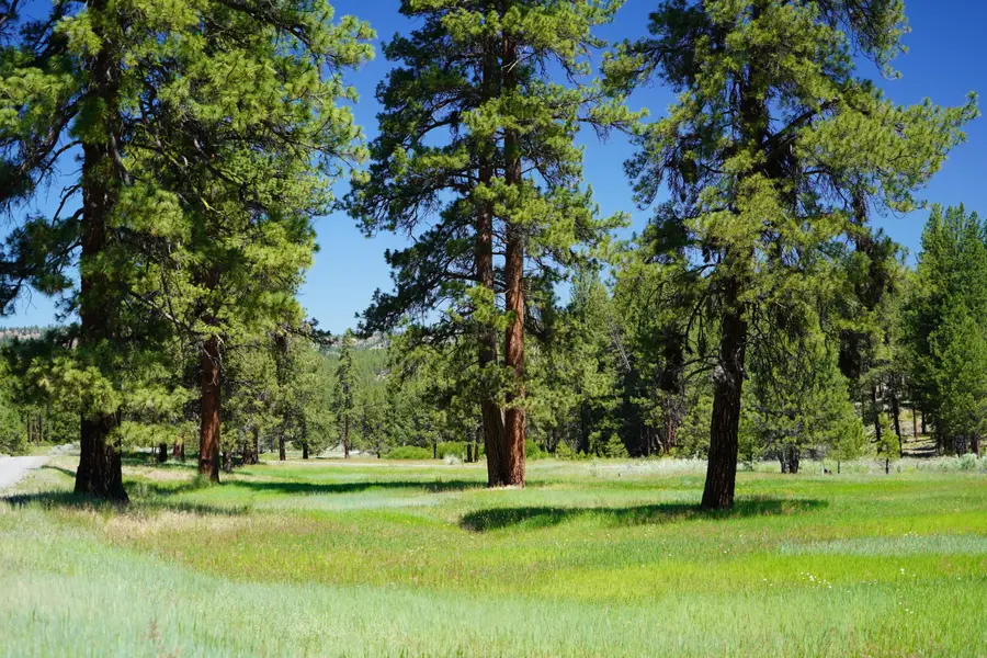 27990 NE Old Wolf Creek Road, Prineville, OR 97754 - #3