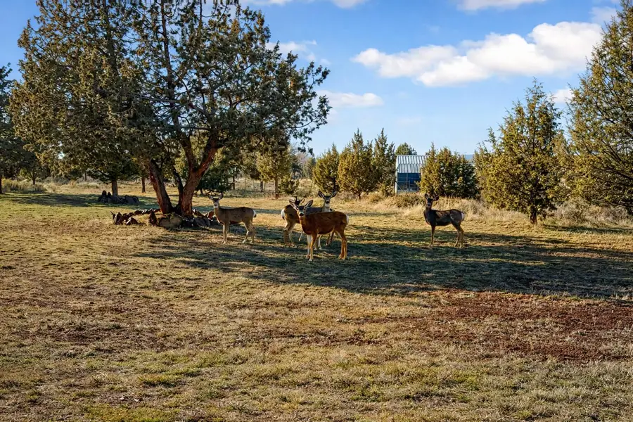 14734 SW Peninsula Drive, Terrebonne, OR 97760 - #3