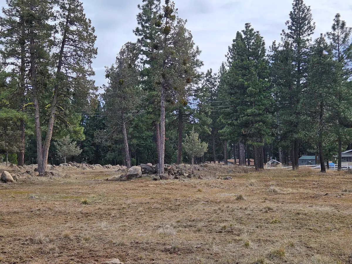 0 Hamaker Lane #12, Keno, OR 97627 - #1