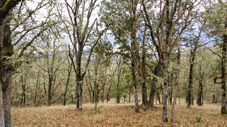 00 Azalea Drive Cut Off Drive #1100,609, Grants Pass, OR 97526 - #3