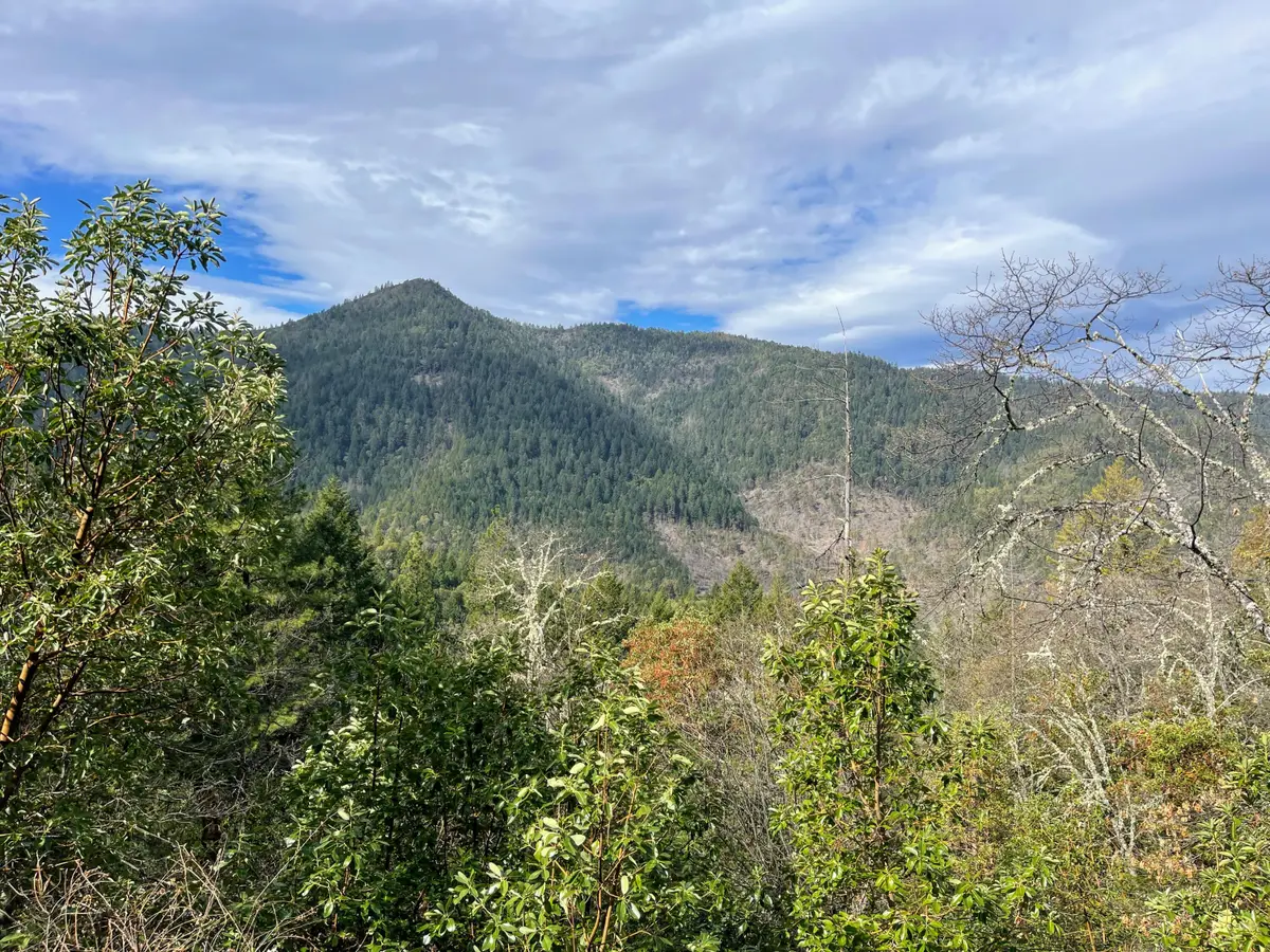 0 Savage Creek Rd Tl2502, Rogue River, OR 97537 - #1