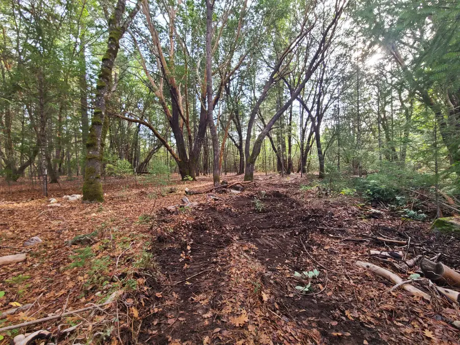 Caves Hwy Highway, Cave Junction, OR 97523 - #2