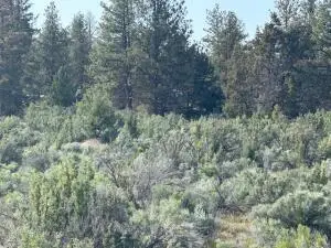 0 Council Butte #Lot 8, Beatty, OR 97621