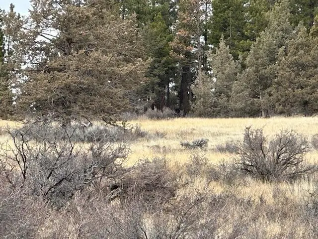 0 Cote Canyon #Lot 8, Sprague River, OR 97639 - #2