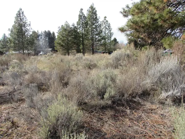 #Bl  6   lot 29, Chiloquin, OR 97624