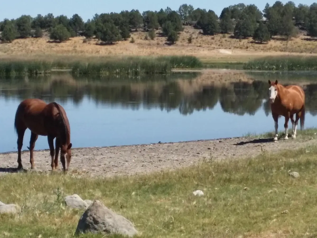 0 Sprague River Highway, Sprague River, OR 97639 - #1