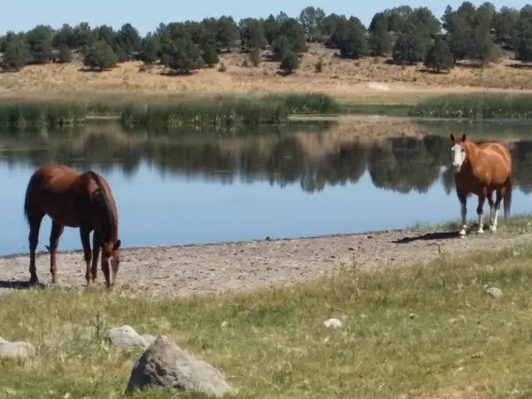 0 Sprague River Highway, Sprague River, OR 97639